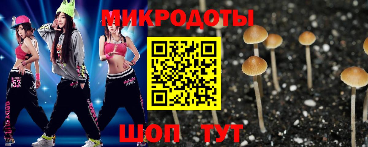 Псилоцибиновые грибы Cubensis Чебоксары