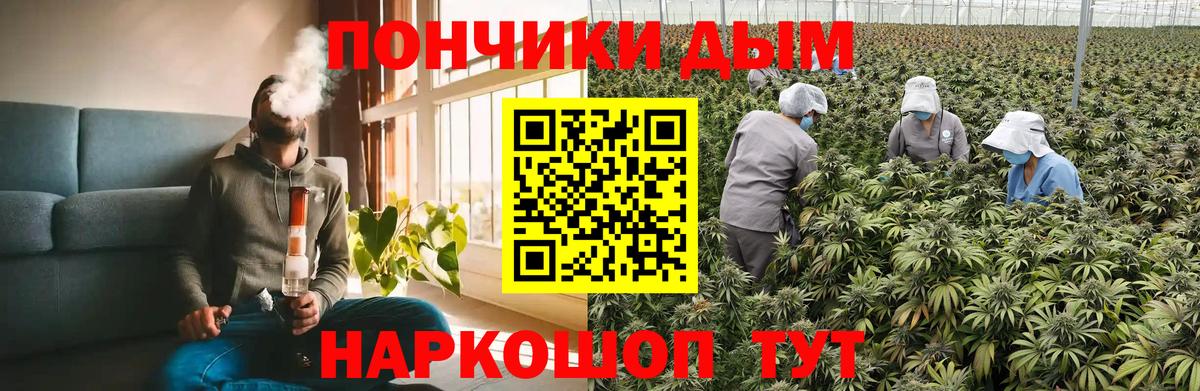 Каннабис сатива  Конопля план  Чебоксары  Вход с VPN 